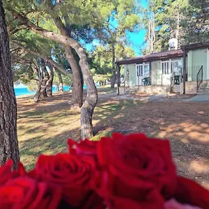 2* Vakantiepark Family Pineta